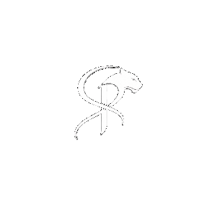 DROP COMPLETO